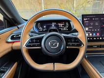 Volant výborně padne do ruky, je vyhřívaný a čalouněný dvoubarevnou kůží.