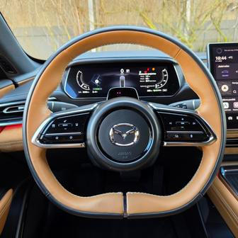 Volant výborně padne do ruky, je vyhřívaný a čalouněný dvoubarevnou kůží.