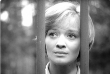 Vyšší princip (1960).