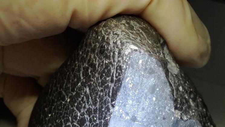 Záhadný meteorit přezdívaný Černá kráska, který na Zemi doputoval z Marsu, obsahuje výrazně více vody, než se dosud předpokládalo.