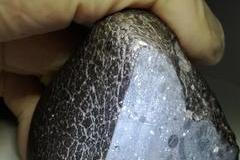 Záhadný meteorit přezdívaný Černá kráska, který na Zemi doputoval z Marsu, obsahuje výrazně více vody, než se dosud předpokládalo.