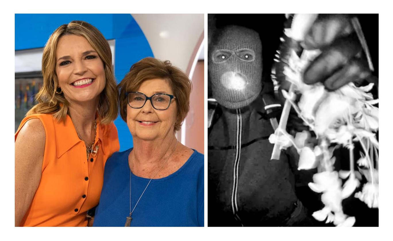 Záhadný únos Nancy Guthrie