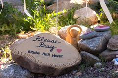 Záhadný únos Nancy Guthrie