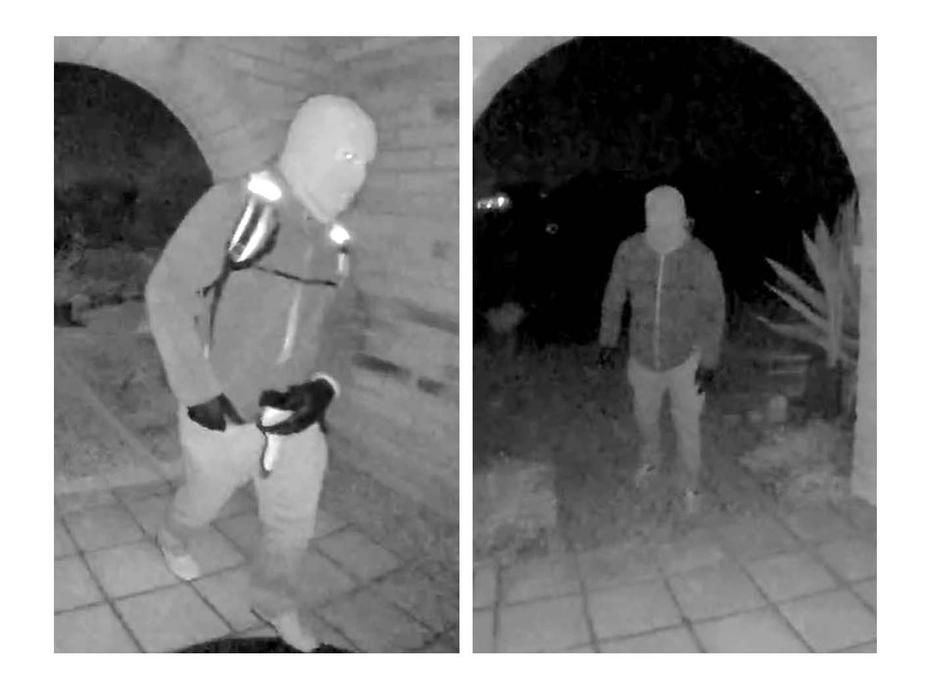 Záhadný únos Nancy Guthrie