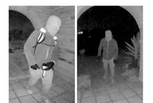 Záhadný únos Nancy Guthrie