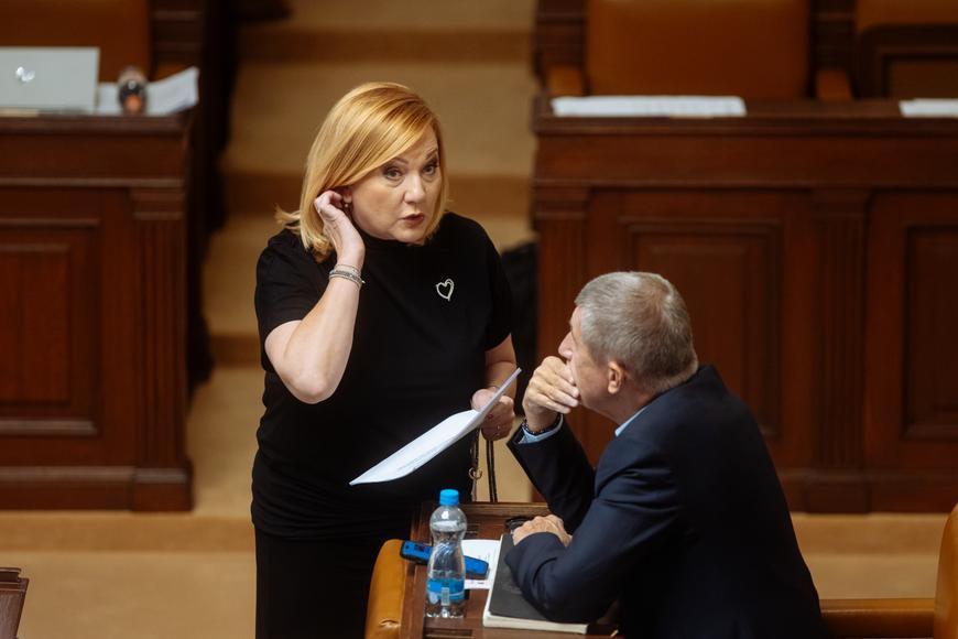 Sněmovna schválila v noci základní údaje rozpočtu se schodkem 310 miliard korun