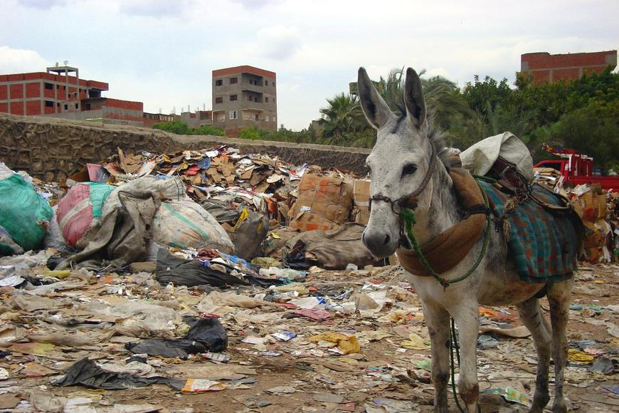 Káhirská čtvrť přezdívaná Město odpadků dala vzniknout recyklačnímu zázraku