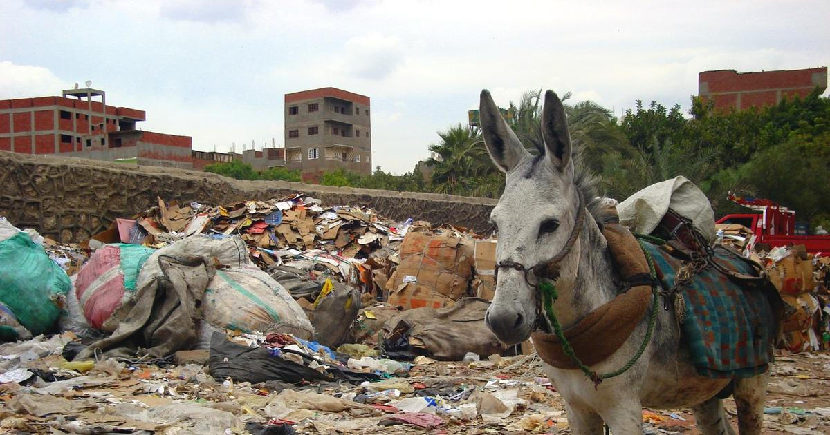 Káhirská čtvrť přezdívaná Město odpadků dala vzniknout recyklačnímu zázraku