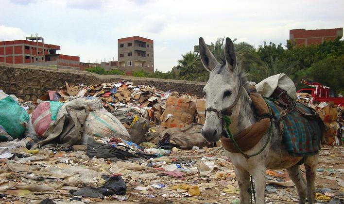 Káhirské Město odpadků