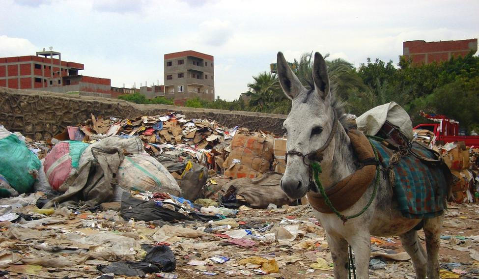 Káhirské Město odpadků