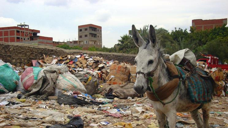 Káhirské Město odpadků