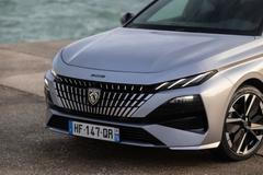 Přední část prošla asi největší proměnou s jinými světly, nárazníkem nebo možností podsvíceného loga značky.