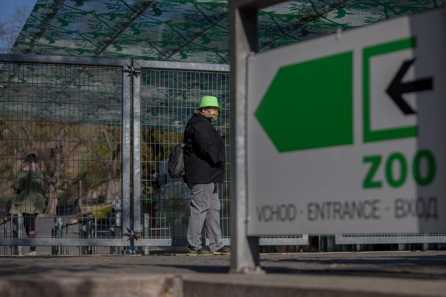 Nákaza zvířat v Zoo Praha: ptačí chřipka uzavřela část areálu