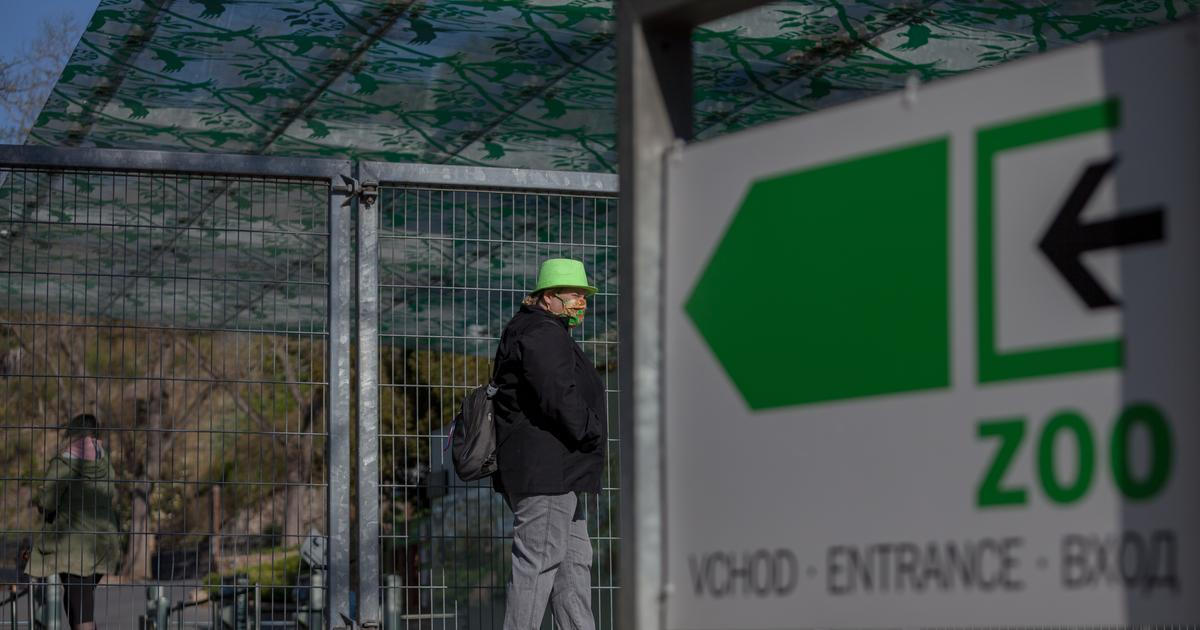 Nákaza zvířat v Zoo Praha: ptačí chřipka uzavřela část areálu