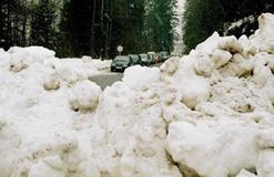 Ačkoliv se celá událost odehrála v řádu několika desítek vteřin, našli se i tací, kteří v nenadálém chaosu nezaváhali. 
