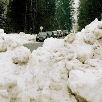 Ačkoliv se celá událost odehrála v řádu několika desítek vteřin, našli se i tací, kteří v nenadálém chaosu nezaváhali. 