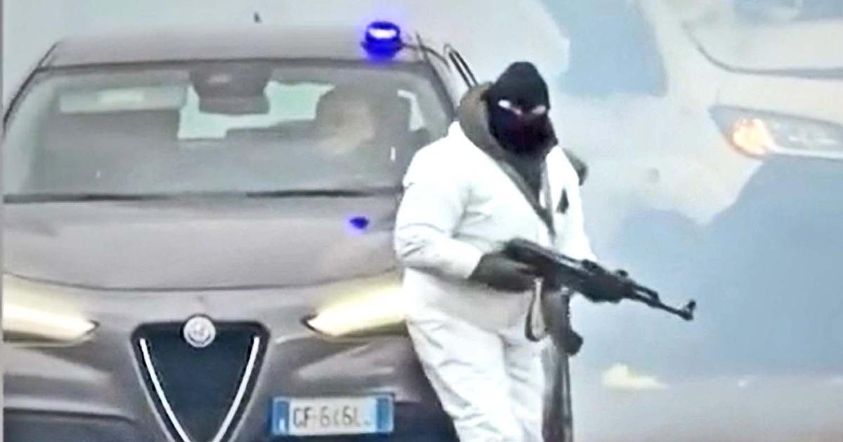 Škoda tyhle fotky minout: divoký Bunny, poselství na rukavici nebo gangsterka na dálnici