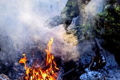 Tundra jako bojové pole: Task Force Grizzly v akci