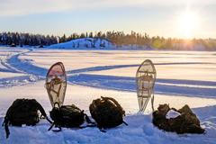 Tundra jako bojové pole: Task Force Grizzly v akci