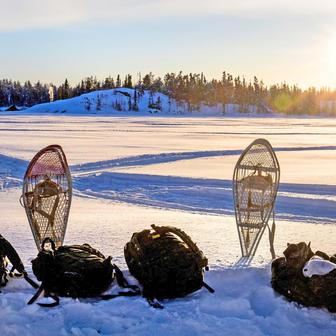 Tundra jako bojové pole: Task Force Grizzly v akci