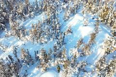 Tundra jako bojové pole: Task Force Grizzly v akci