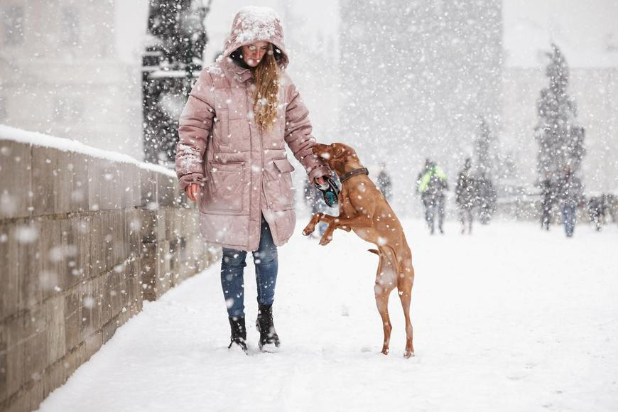Sněhová vánice zasáhla celé Česko. Víme, kdy přijde obleva