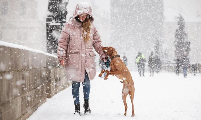 Sněžení, sníh, zima, lidé, žena, pes, kabát, teplé oblečení, kapuce, Karlův most, Praha, 26.1.2021, HN - Radek Vebr