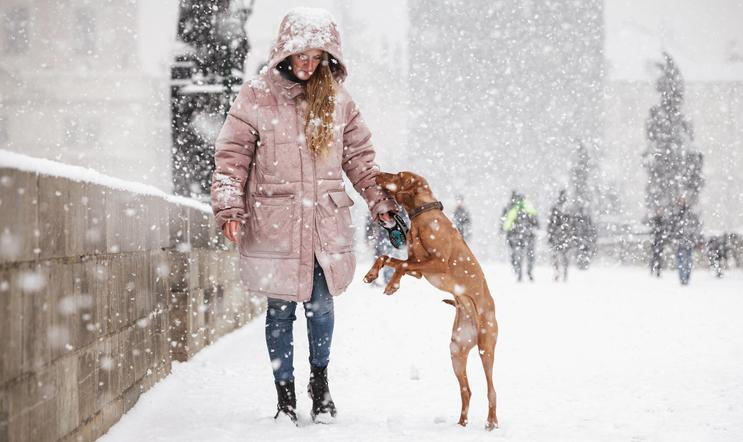 Sněžení, sníh, zima, lidé, žena, pes, kabát, teplé oblečení, kapuce, Karlův most, Praha, 26.1.2021, HN - Radek Vebr