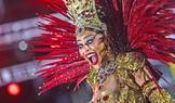 Samba pro prezidenta: karneval v Riu vyvolal politické vášně