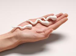 Podle lékaře Marka Broula je zásadní říct, že vasektomie není rychlá náhrada antikoncepce a nemělo by jít o impulzivní rozhodnutí.