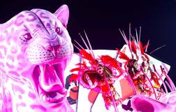 Carnival in Rio de Janeiro