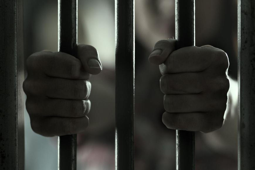 Mučili kočku a natáčeli si to. Pachatelům hrozí až tři roky vězení