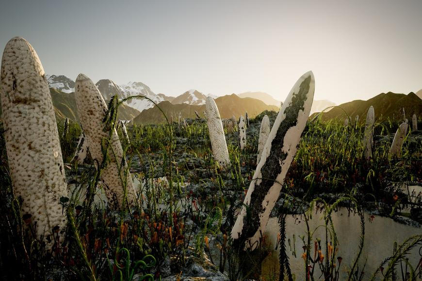 Není to živočich, rostlina ani houba. Vědci objevili záhadnou formu života