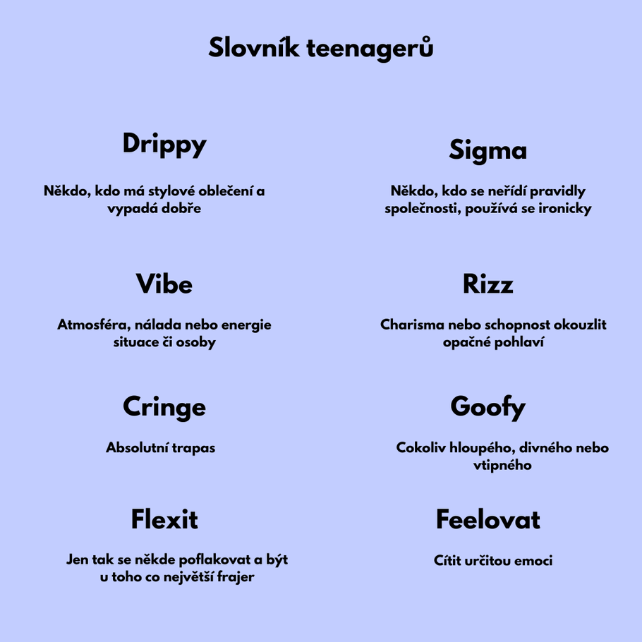 Rozumíte těmto slovům? Možná je říkají i vaše děti.