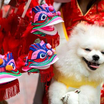 Škoda tyhle fotky minout: Posype tě popelem, dlouhý nos nebo zběsile i klidně 