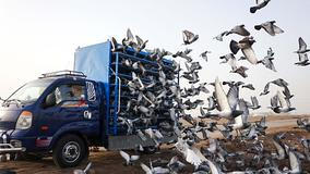 Škoda tyhle fotky minout: Posype tě popelem, dlouhý nos nebo zběsile i klidně 