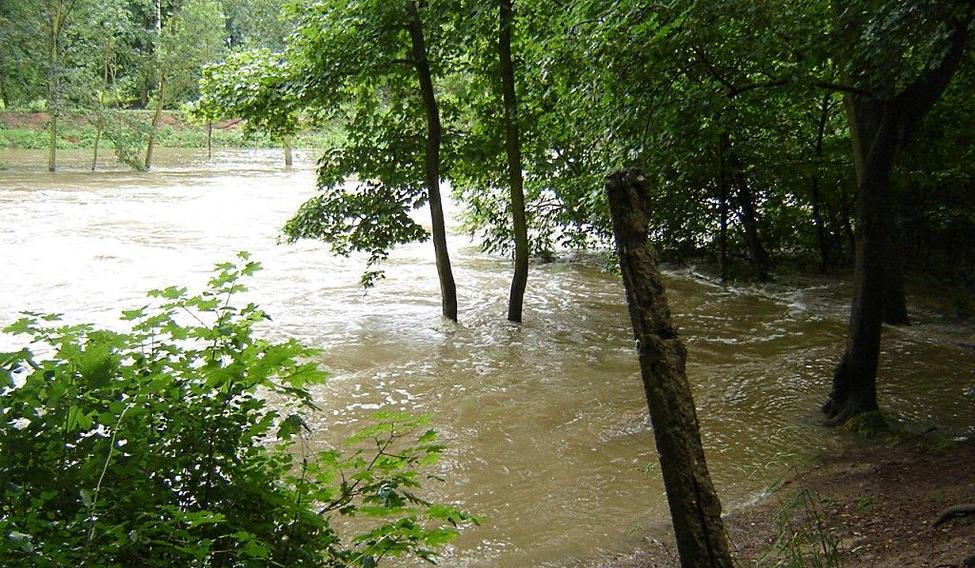 Rozvodněná Chrudimka v Pardubicích