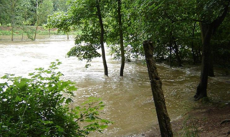 Rozvodněná Chrudimka v Pardubicích