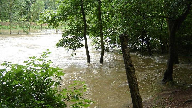 Rozvodněná Chrudimka v Pardubicích