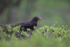 Teploty budou na danou roční dobu nadprůměrné.