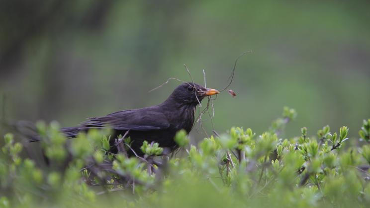 Teploty budou na danou roční dobu nadprůměrné.