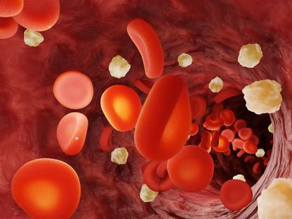 Hladina cukru v krvi