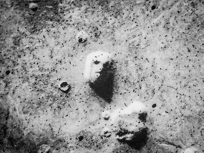 Tvář na Marsu (70. léta)