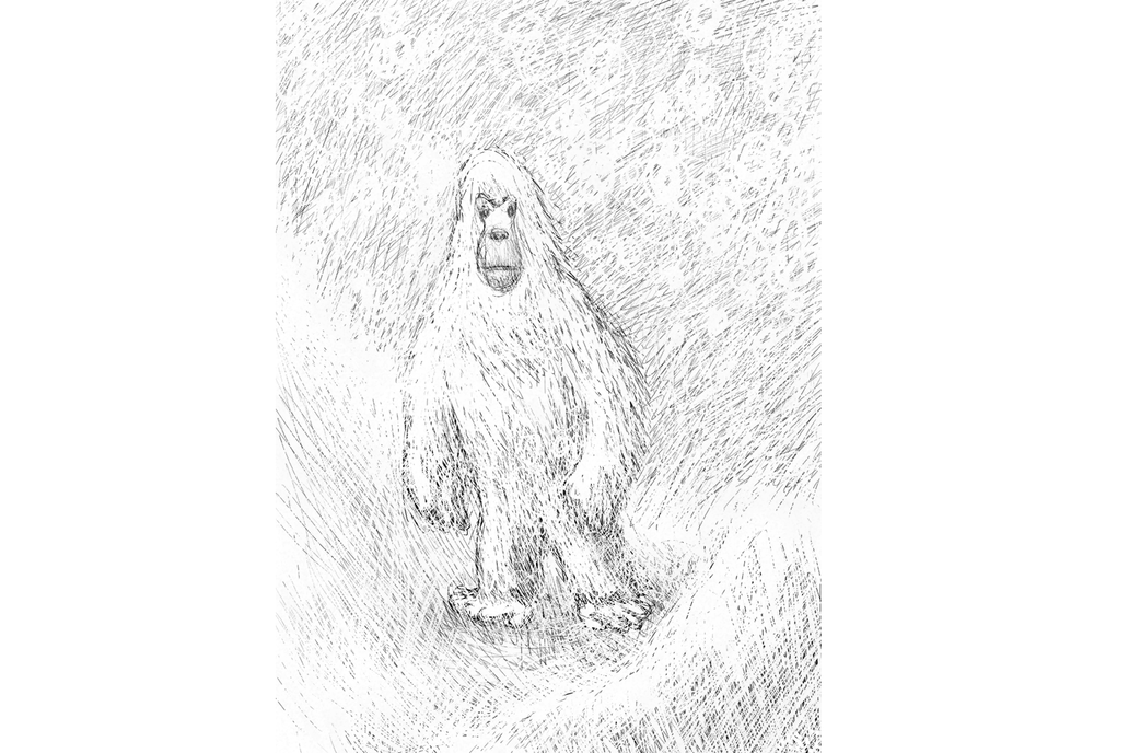 Ilustrace himalájského yettiho od autora JNL. Kresba zobrazuje legendárního dvounohého tvora pokrytého srstí, odvozená z popisu místních obyvatel.