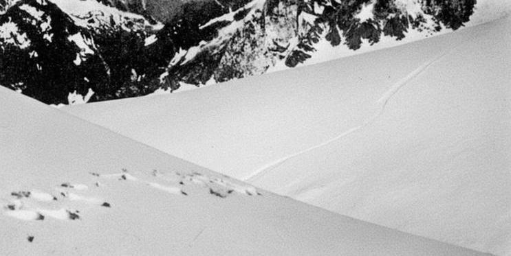 Údajné stopy Yettiho vyfotografované Frankem S. Smythem v roce 1937 v Himálaji, publikováno v Popular Science 1952. Expertíza ukázala, že šlo o stopy medvěda.