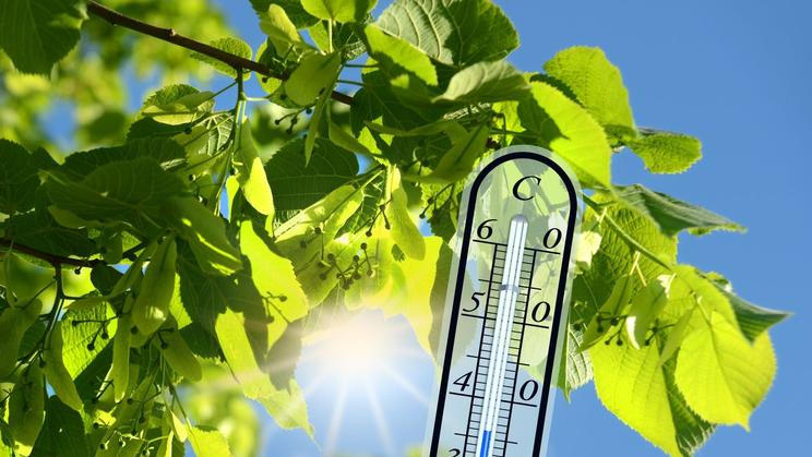 Vedro / Horko / Teploměr / Počasí / Teplota / Léto / Ilustrační snímek