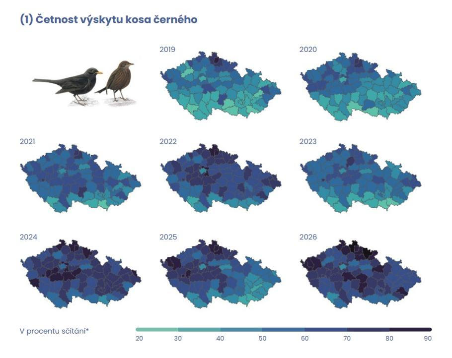 Četnost výskytu kosa