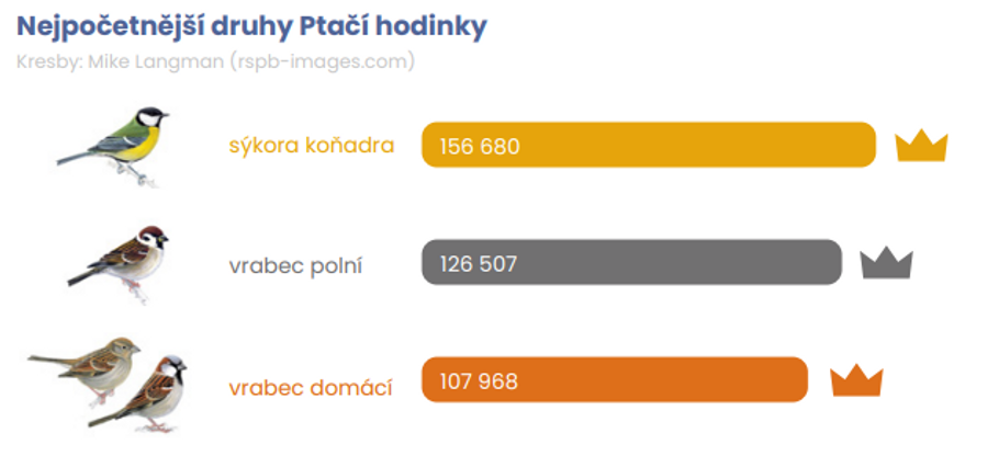 Nejpočetnější druhy