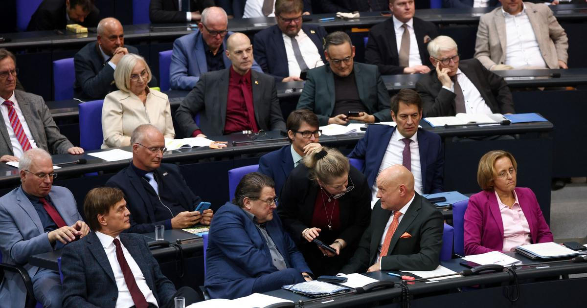 Strana Alternativa pro Německo zatím unikla označení za extremistickou, rozhodl soud