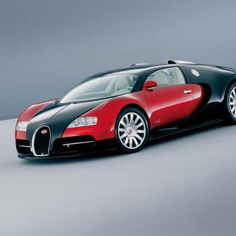 První produkční auto vyjelo z Molsheimu v září 2005, to už Piëch nebyl tři roky šéfem koncernu VW.